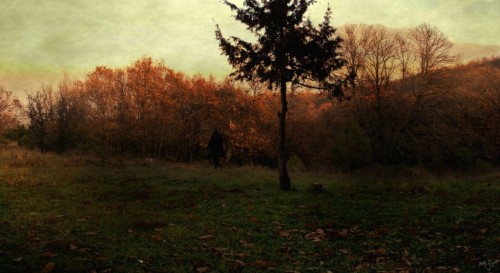Eline  Creemers 