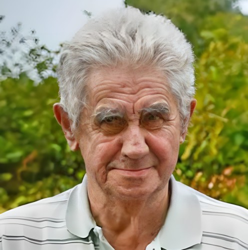 Willy Van de Vyver